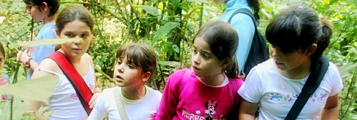 on-nature-trail