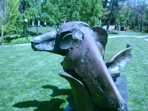 walrus2